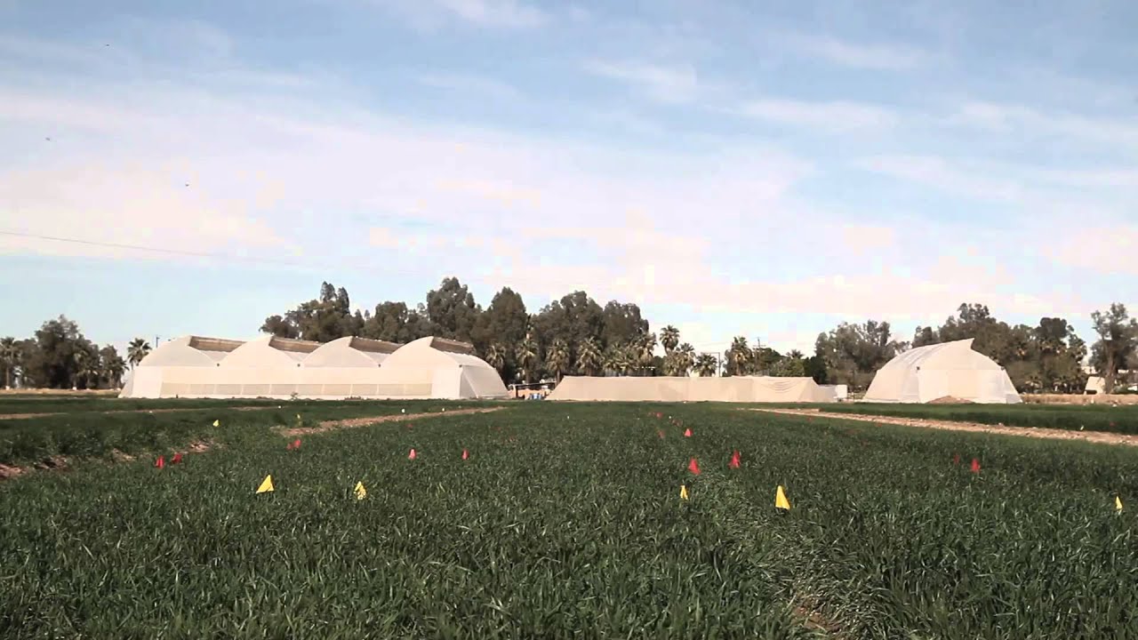 Instituto de Ciencias Agrícolas