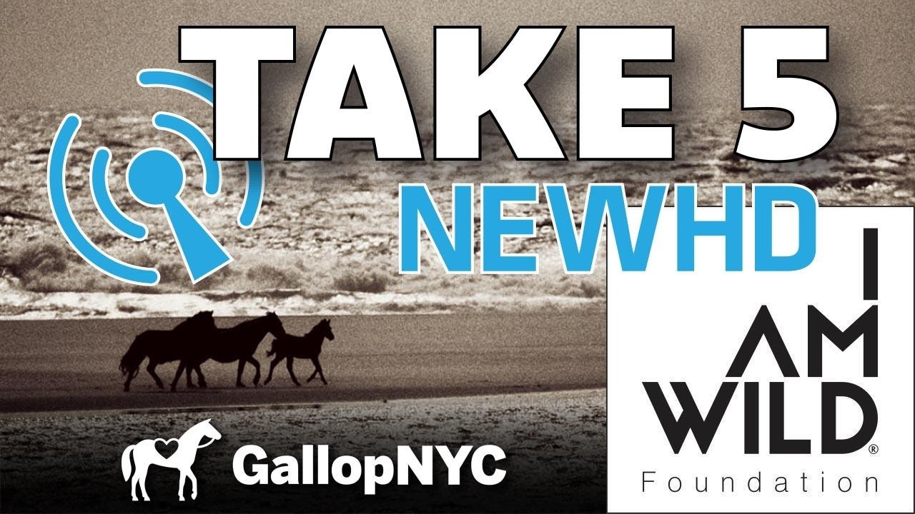 IAMWILD and GallopNYC