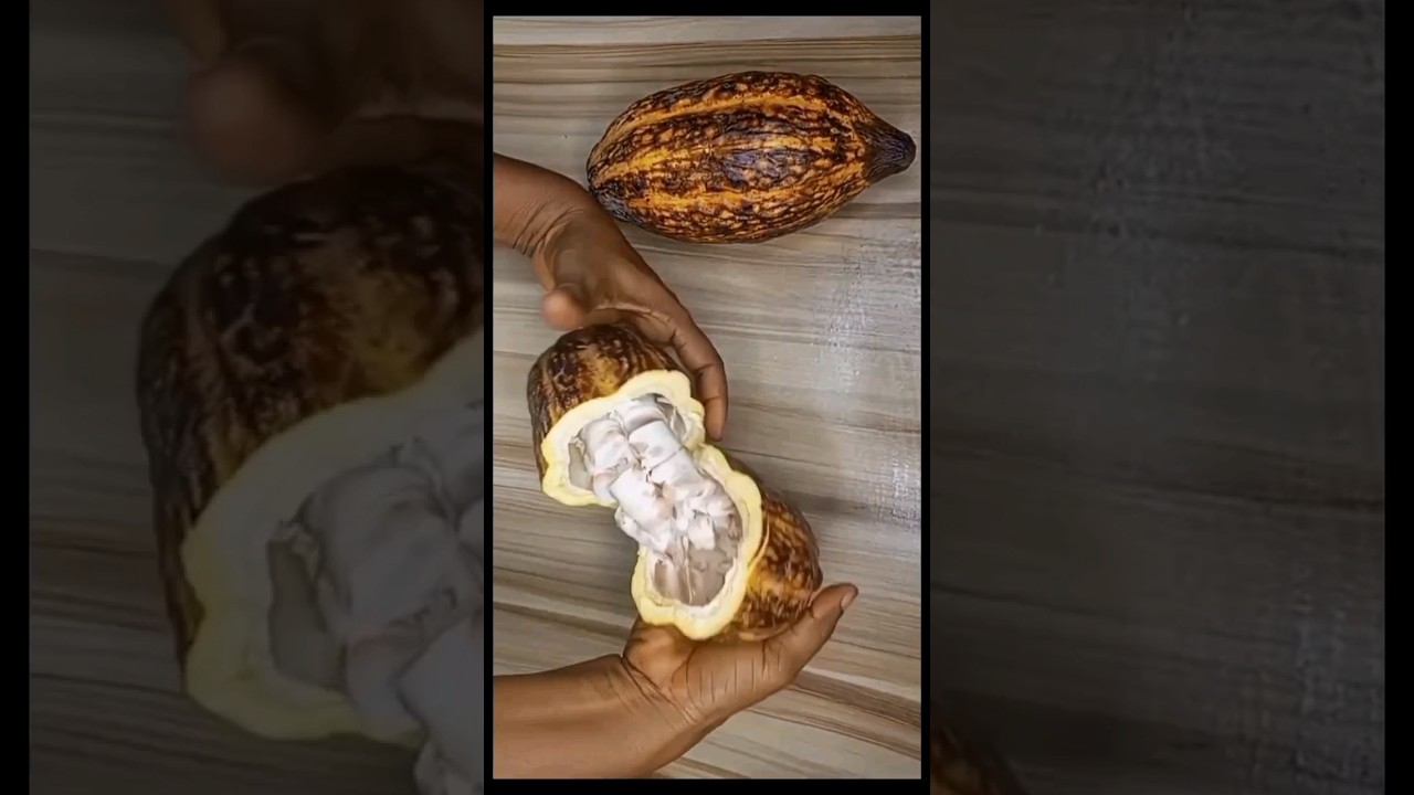 Как сделать какао-порошок из семян какао дома!