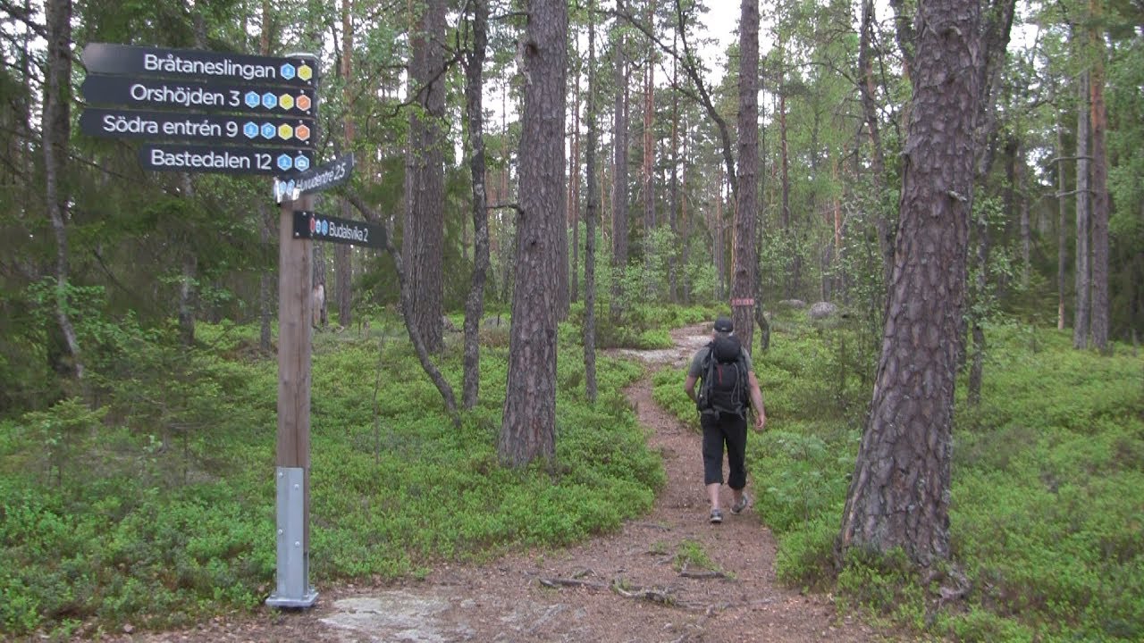 På vandring i Tresticklans nationalpark  Dals Eds kommun