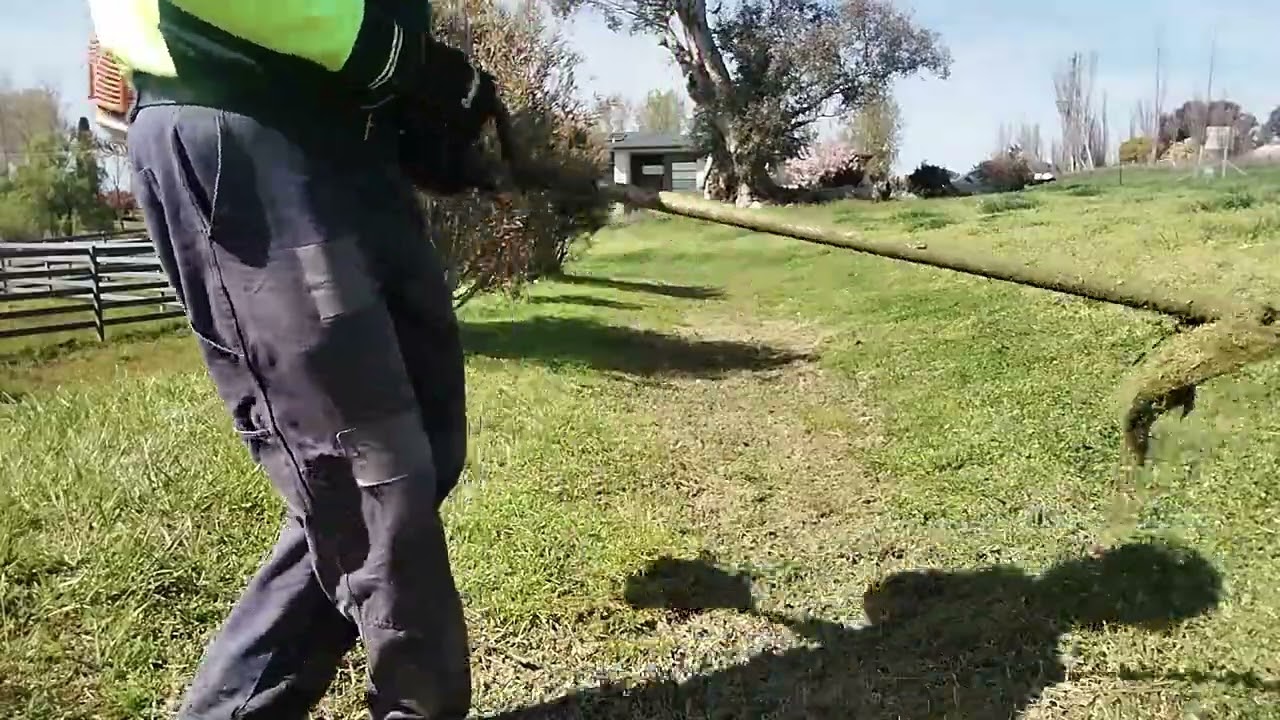 The Drain at The Veterinary Hospital #lawncare #whippasnippa