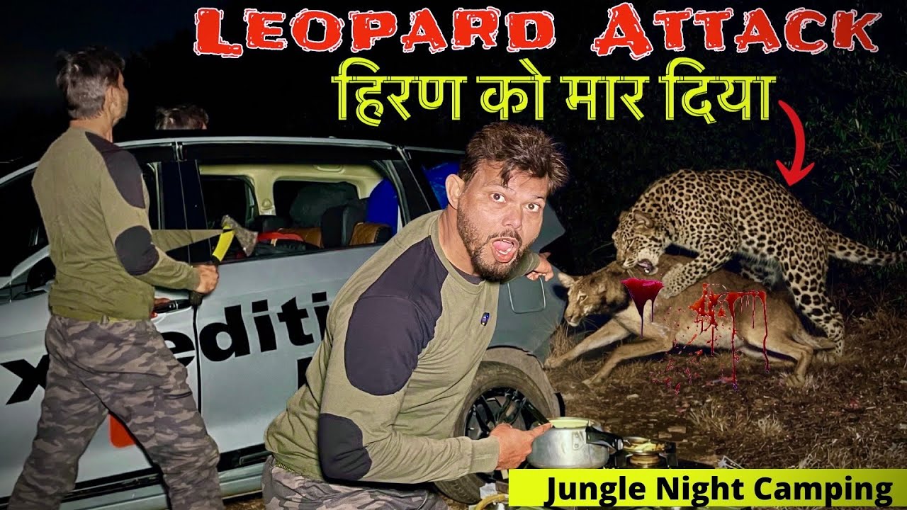 Most Haunted jungle night camping | Camping In Haunted Jungle | Horror  Night Camping  