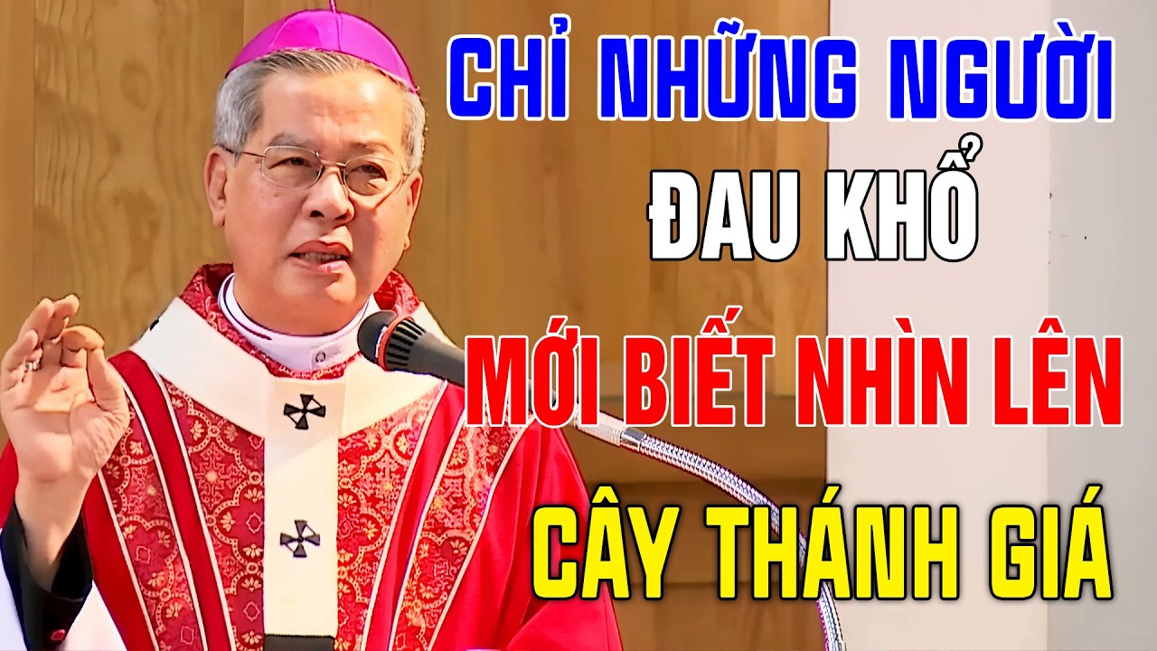 Chỉ Có Những Người Đau Khổ Mới Biết Nhìn Lên Và Trân Trọng Cây Thánh Giá-Nghe Cha Năng Giảng Cực Hay