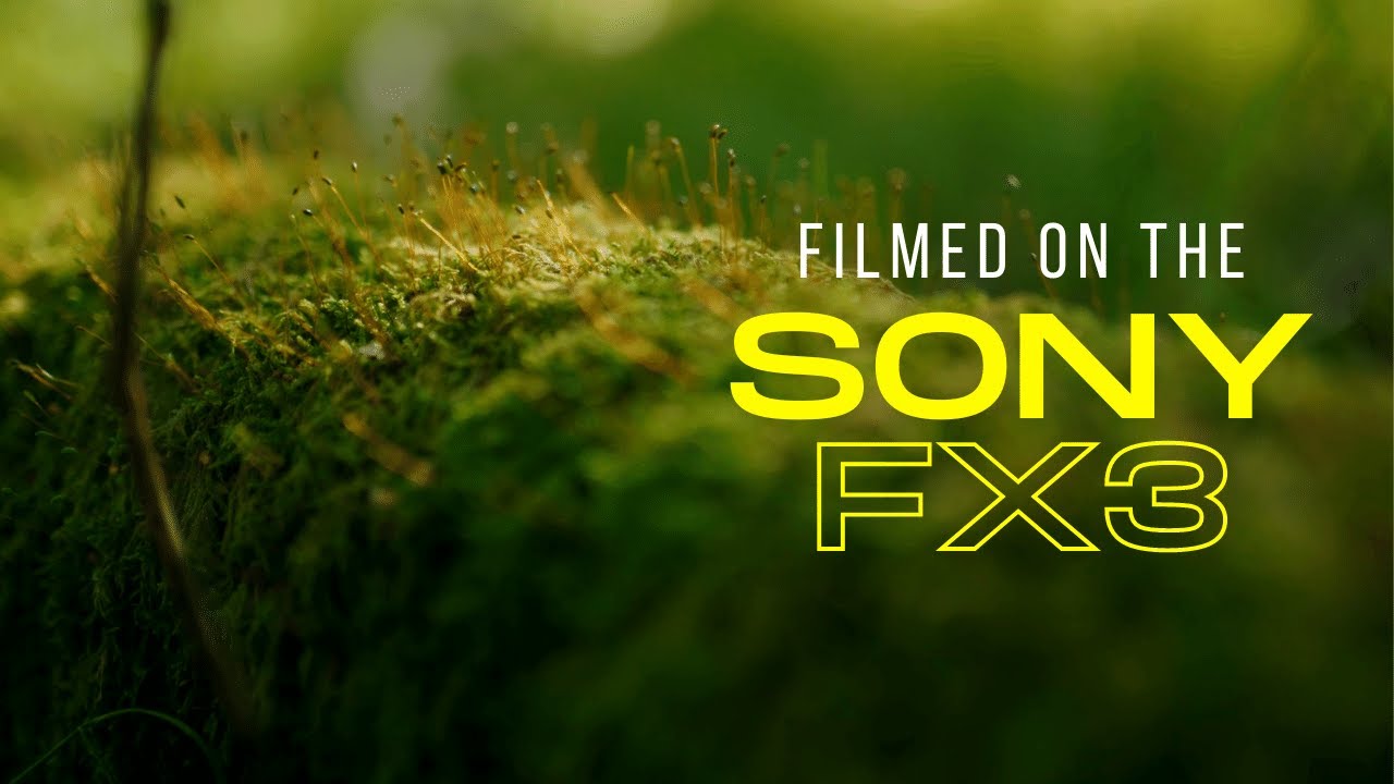 Sony FX3: Forest Commercial