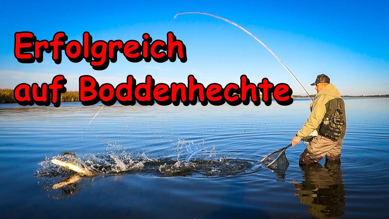 Fliegenfischen in MV - Mit Streamer auf Boddenhechte