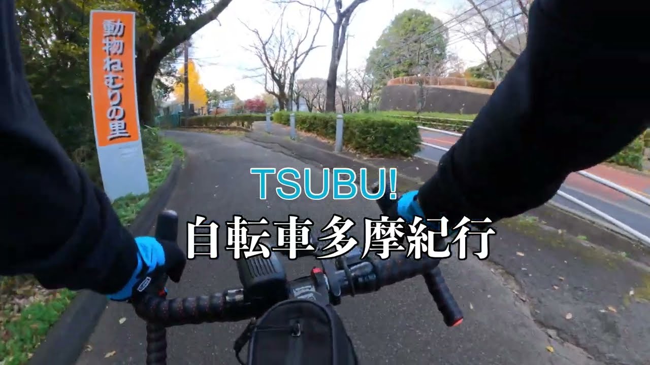 新鮮な廃道?町田市小野路の堂場入地区に至る坂道