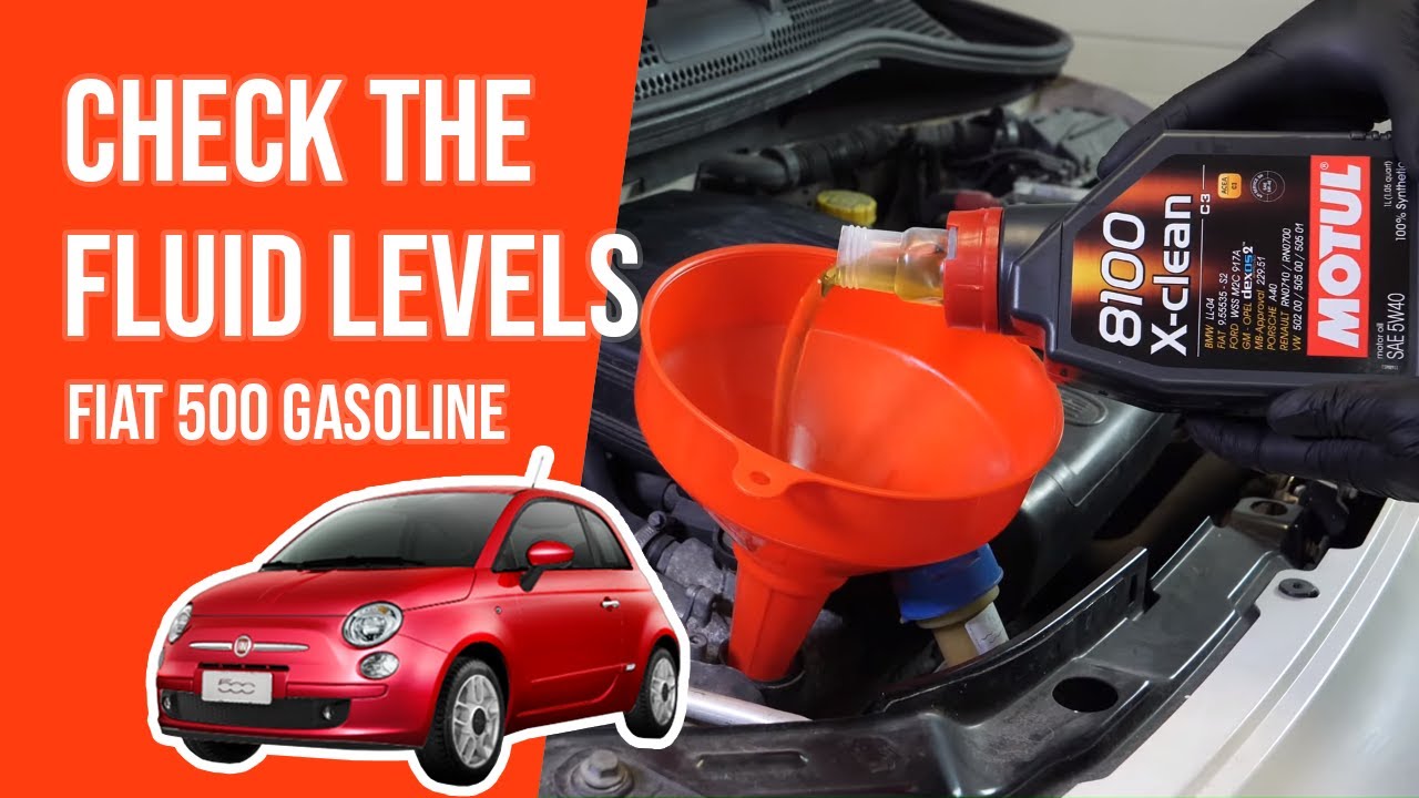 How to check the fluid levels Fiat 500 1.2 8V 📏