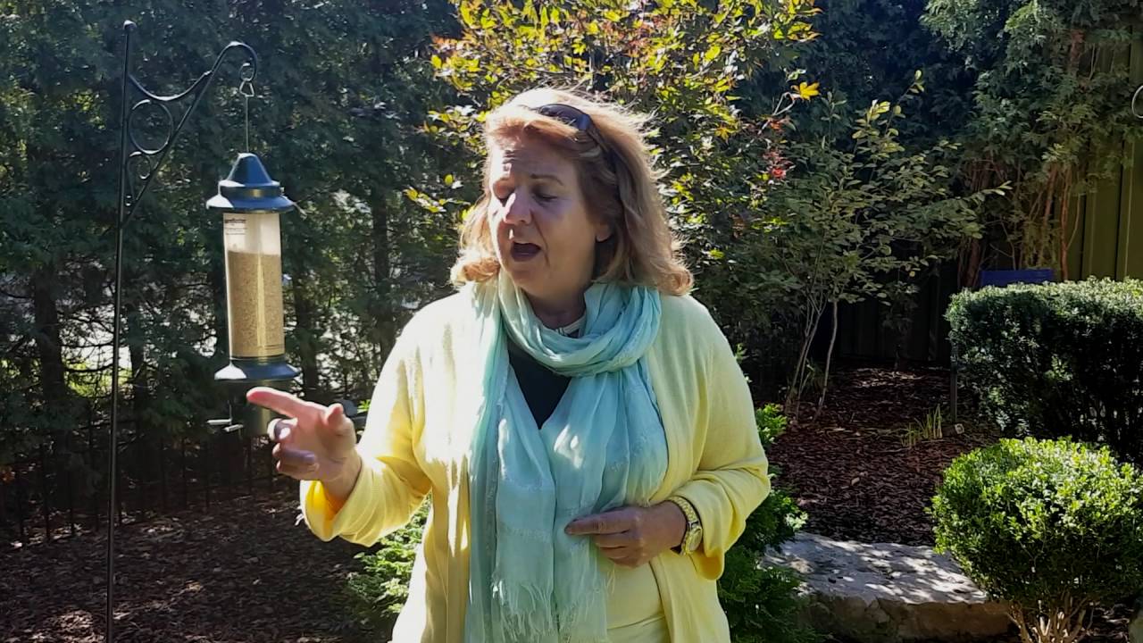 Join Cindy Cherry in the Fight to End Animal Cruelty