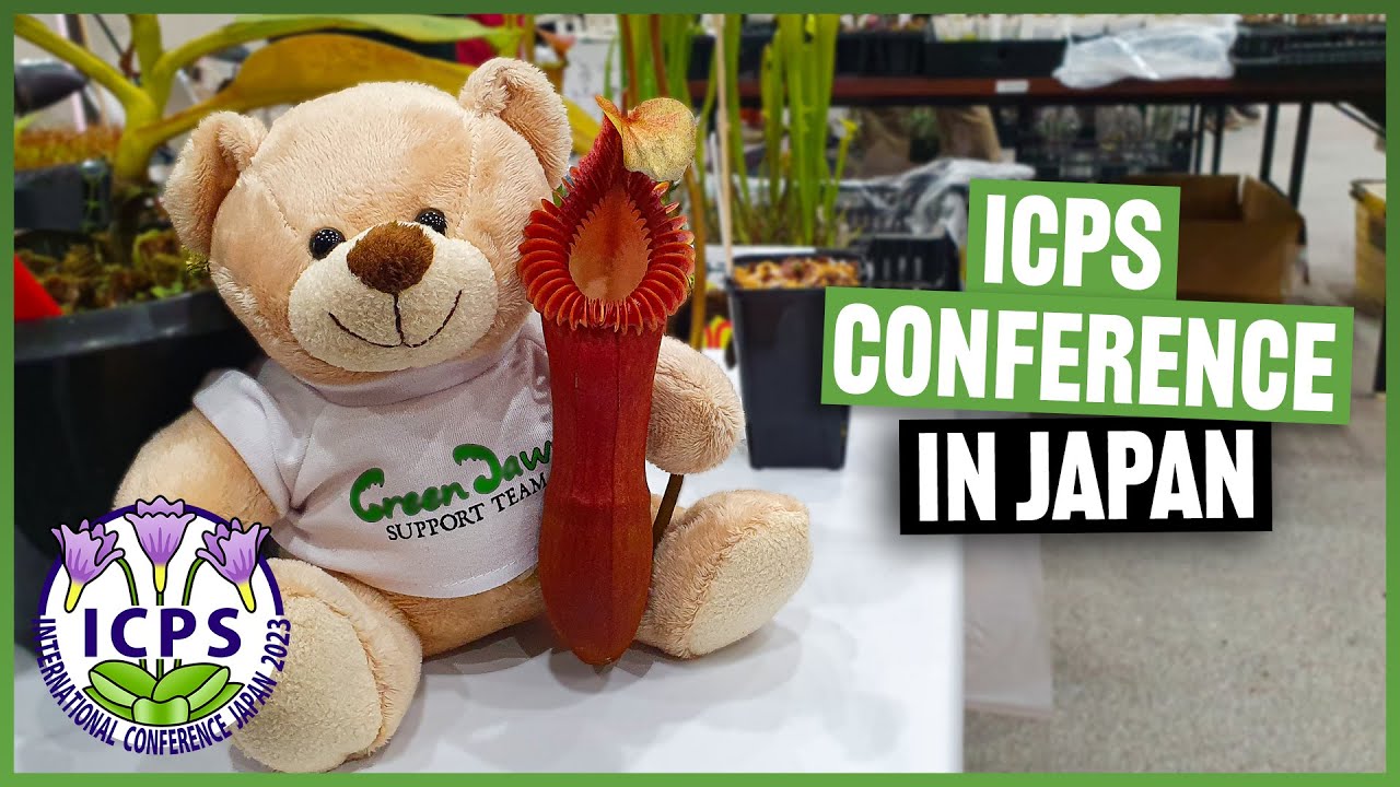 #225 Geile Pflanzen, Vorträge, & tolle Leute, die 13. ICPS World Conference in Himeji, Japan