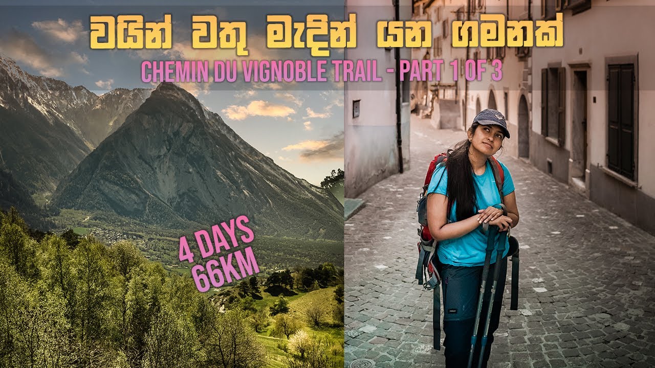 Hiking 66km for 4 days on the Chemin du Vignoble Trail in Switzerland 🇨🇭🚶‍♂️ (Part 1 of 3)