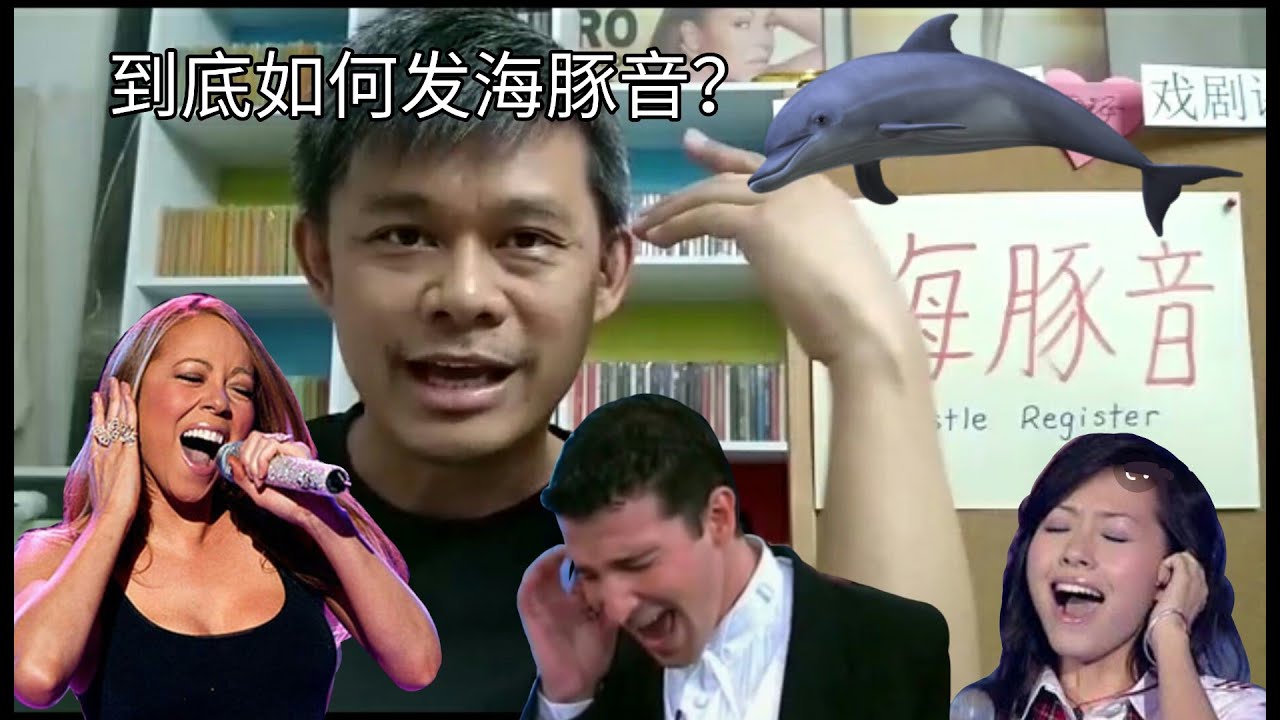 到底要如何发海豚音？ #海豚音  #whistleregister