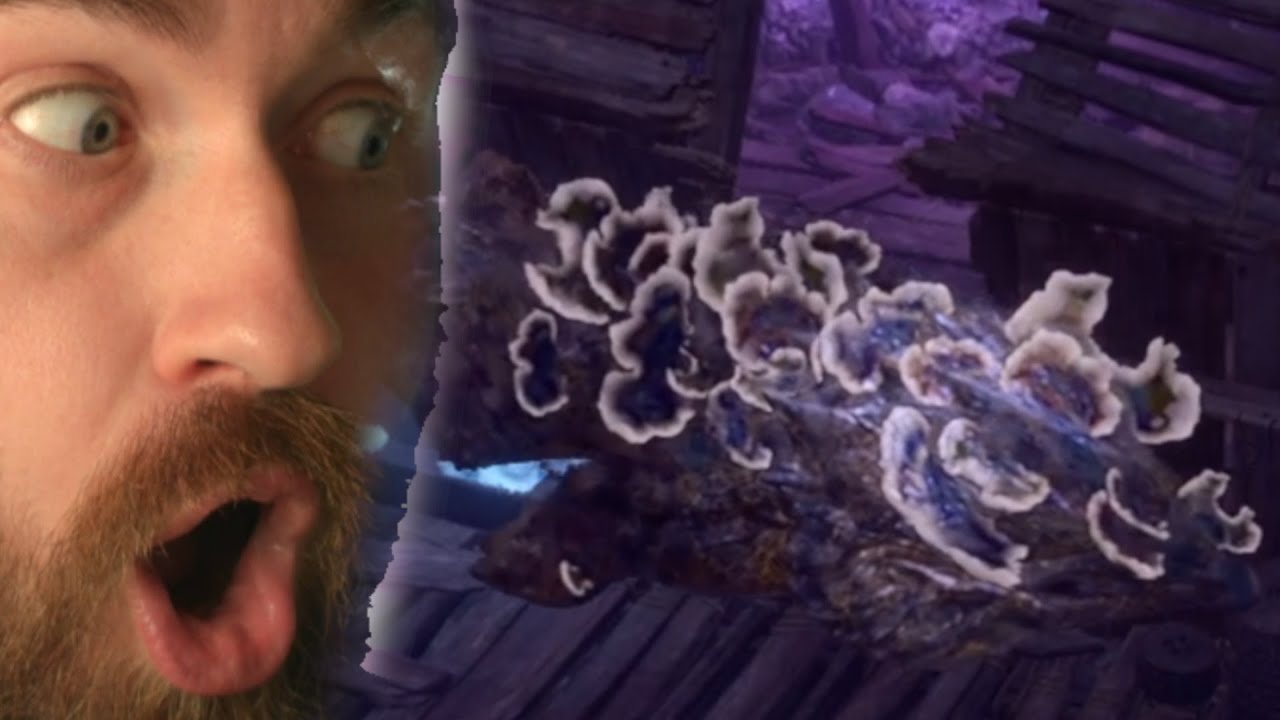 Part 5 - FOUND THE BEST MINION IN THE GAME! Baldurs Gate 3 Solo Ranger Summoner