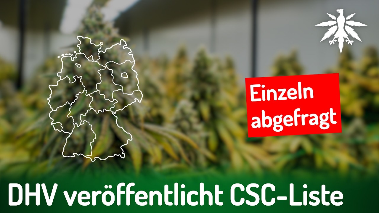 DHV ver&ouml;ffentlicht CSC-Liste | DHV-News # 503
