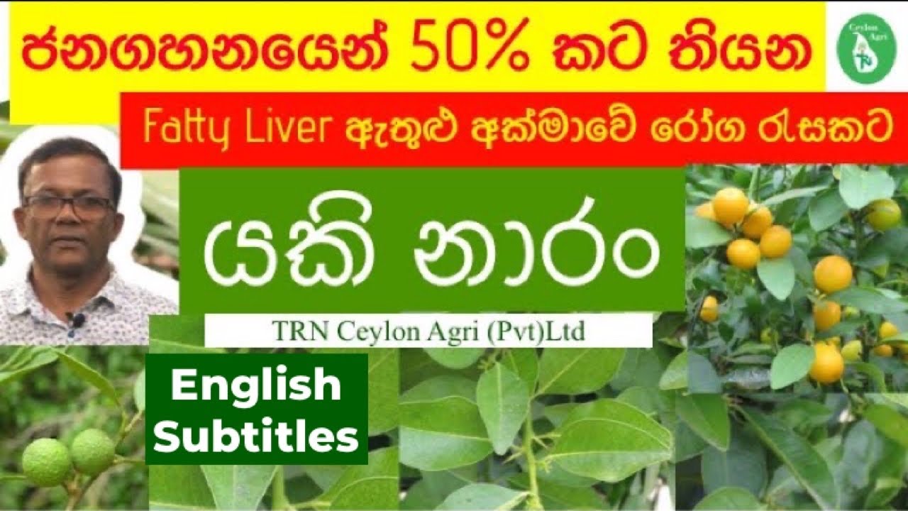 අක්මාවෙ රෝග රැසකට හෙළ ඔසුව | යකි නාරං | Yaki Naran | English Subtitles Ceylon Agri | Episode 58