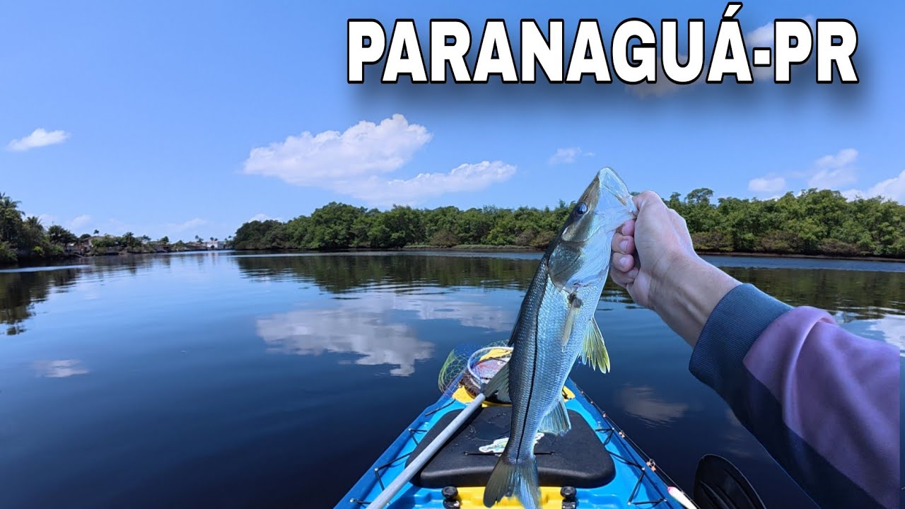 UMA PESCARIA PRA NUNCA MAIS ESQUECER - Pescaria de Caiaque no mangue Confira!!