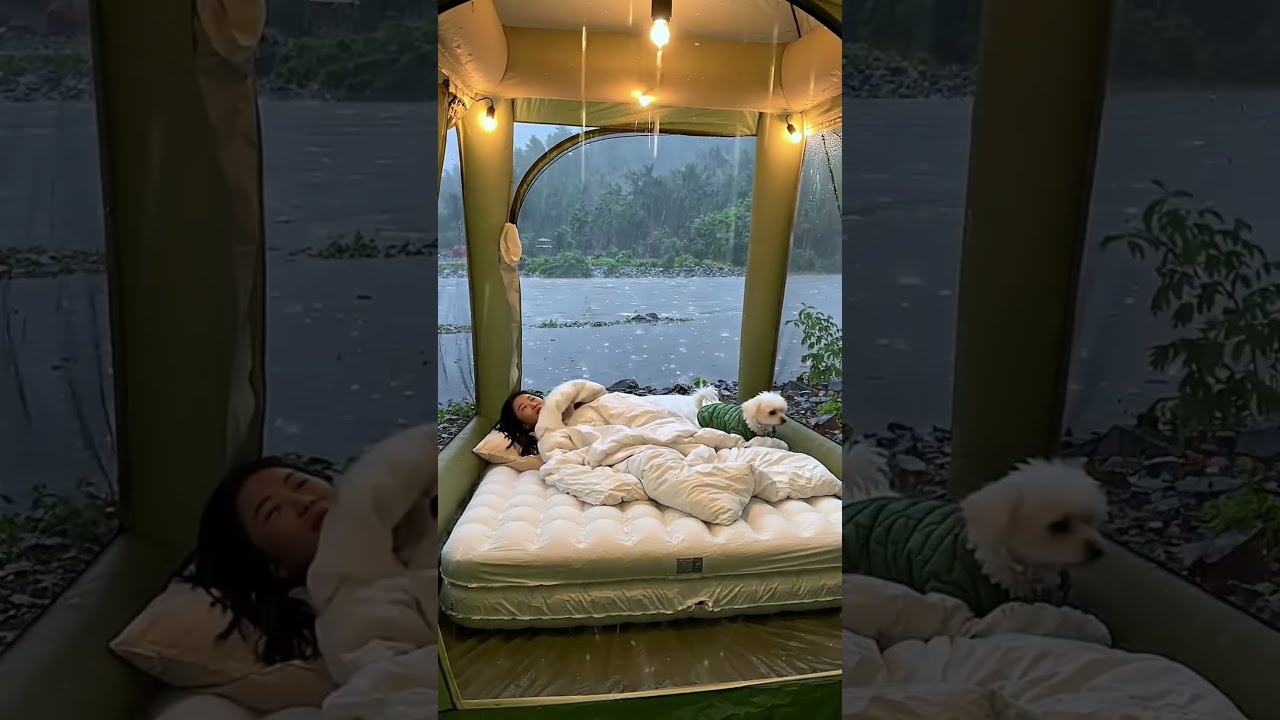 Relaxing Heavy Rain Camping with Dog 🌧️ | Inflatable Tent ASMR Time-Lapse  #rainsounds #cozy