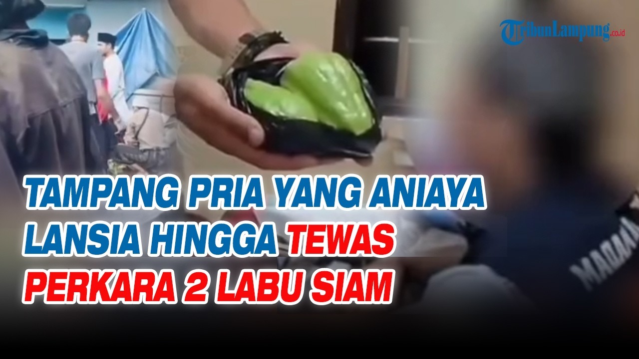 Tampang Pria yang Aniaya Lansia hingga Tewas Perkara 2 Labu Siam