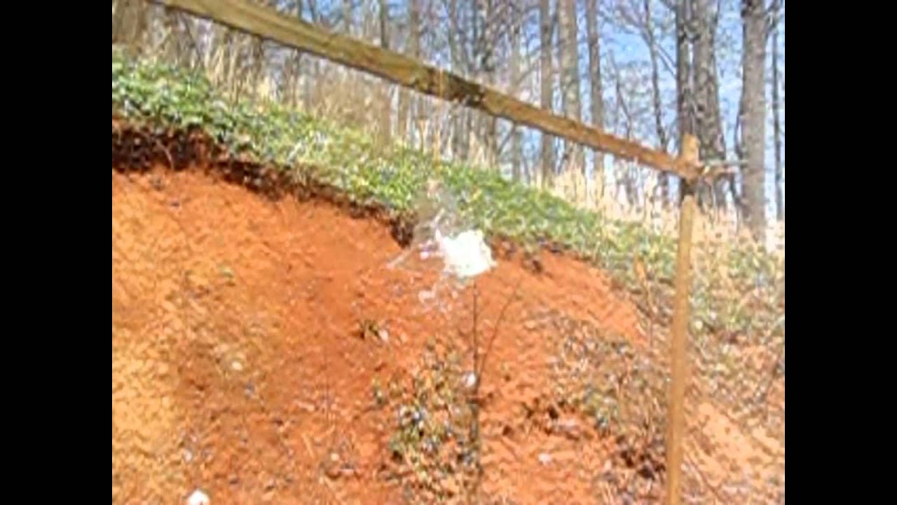 Slug Meets Jug in Slow Motion