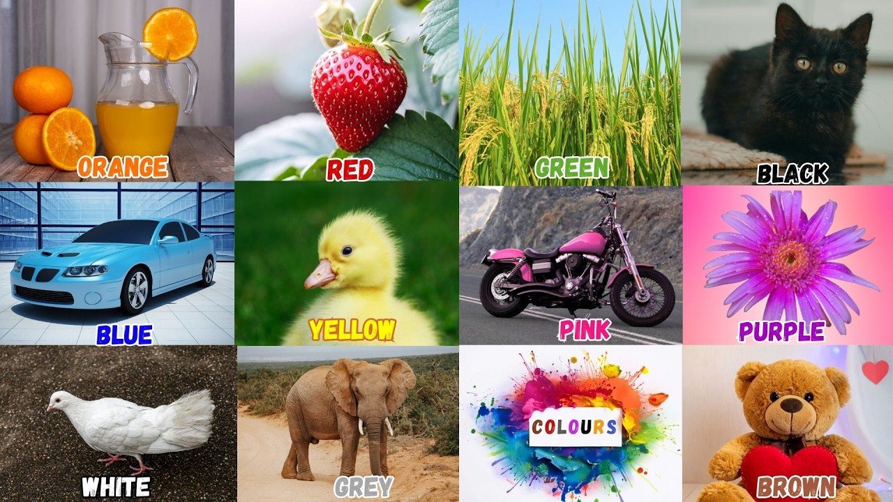 We Love All the Colors | Learn English Colors Song | Nursery Rhyme & Kids Song | #EnglishVocabulary