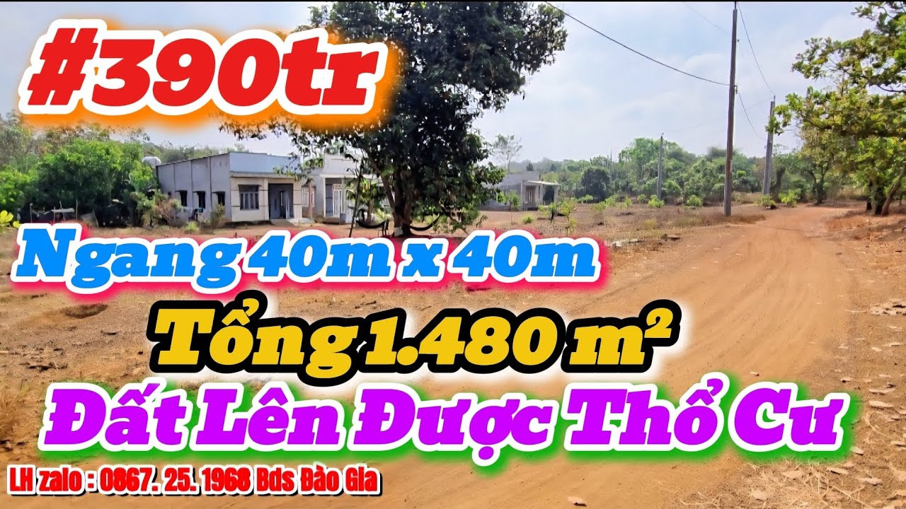 (56) 390tr | Tổng 1.480m², Ngang 40m x 40m, Đất Lên Được full Thổ Cư LH 0867251968 #bdsbinhphuoc