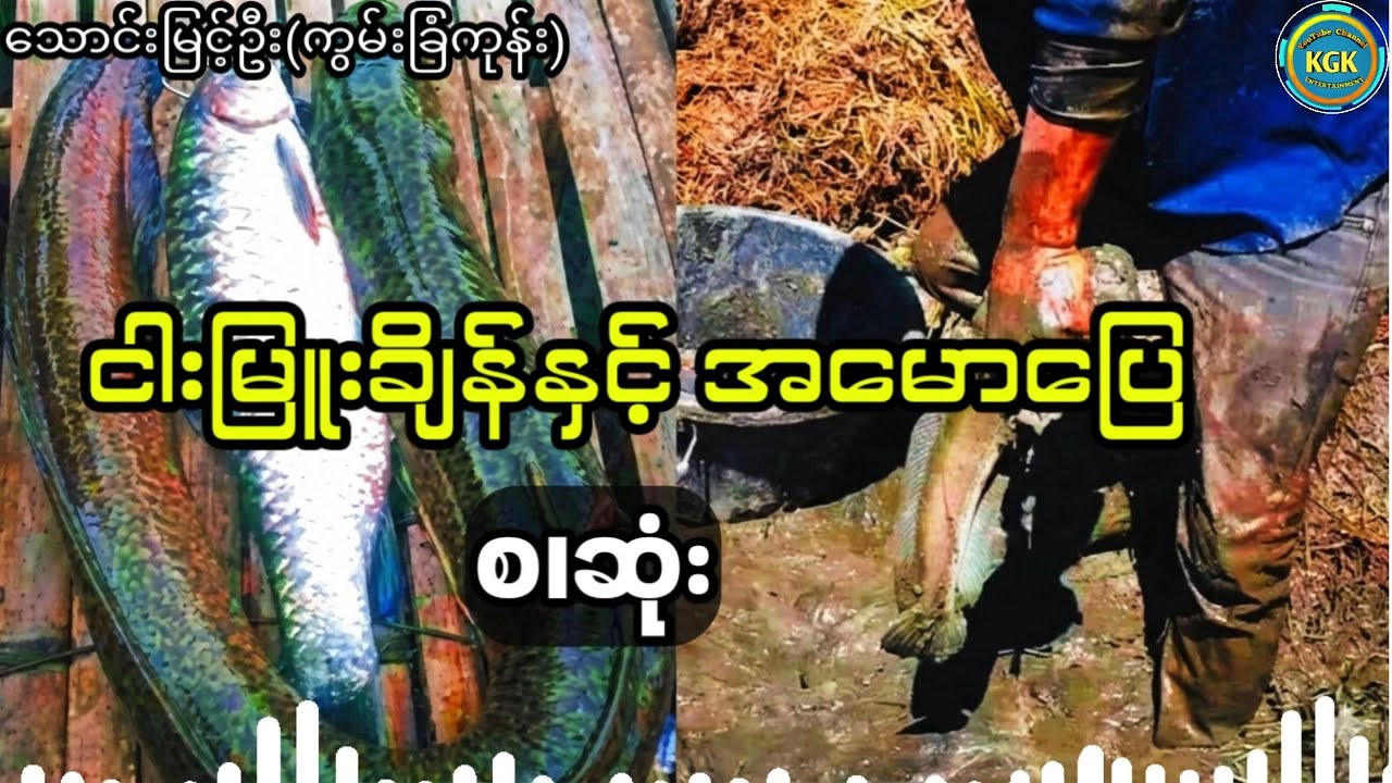 သောင်မြင့်ဦး(ကွမ်းခြံကုန်း) - ငါးမြူးချိန် - (စ.ဆုံး)