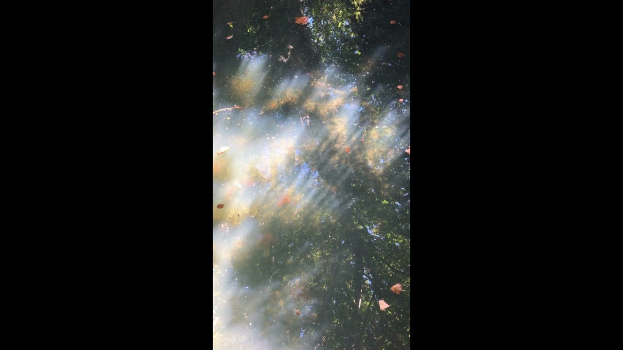 (Free) Rexx Life Raj X J. Cole Type Beat- 