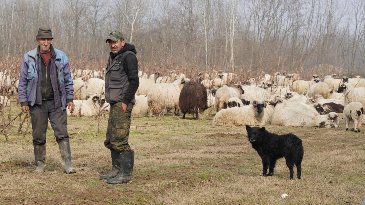 ŽENA I JA  ZARADIMO 100 000  GODIŠNJE