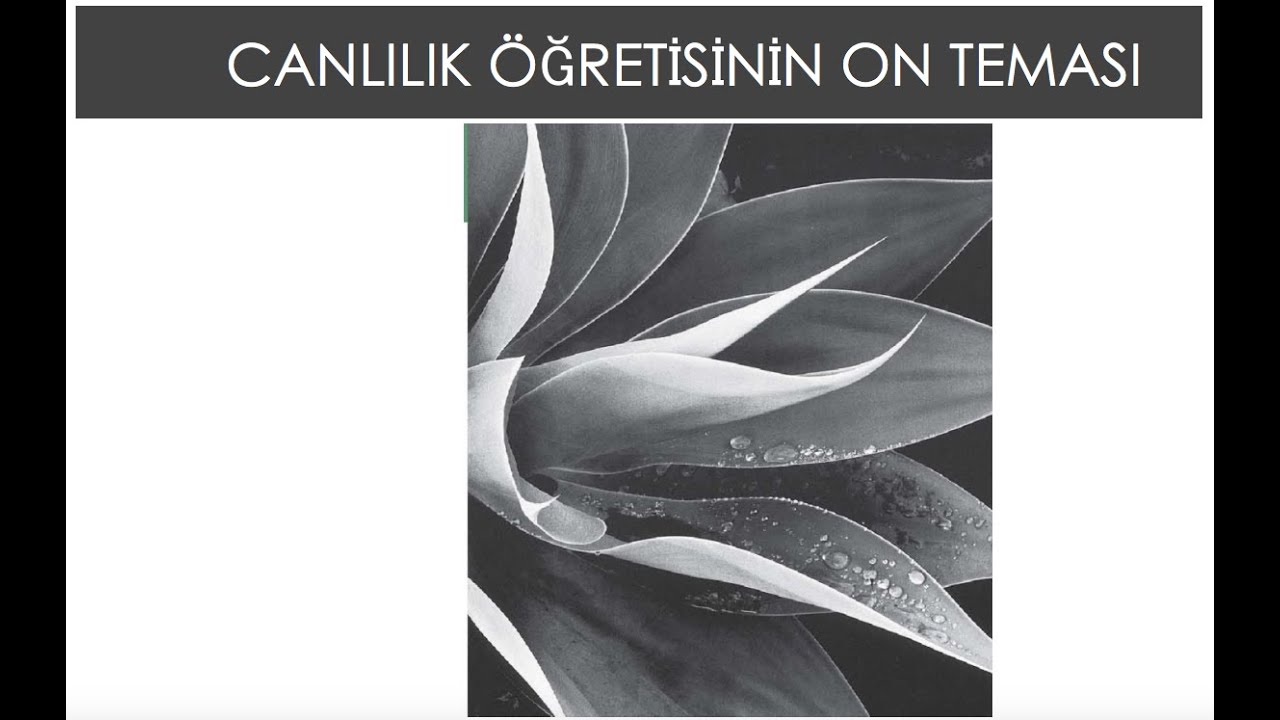 #biyoloji #genel biyoloji BÖLÜM 1: Canlılık Öğretisinin On Teması