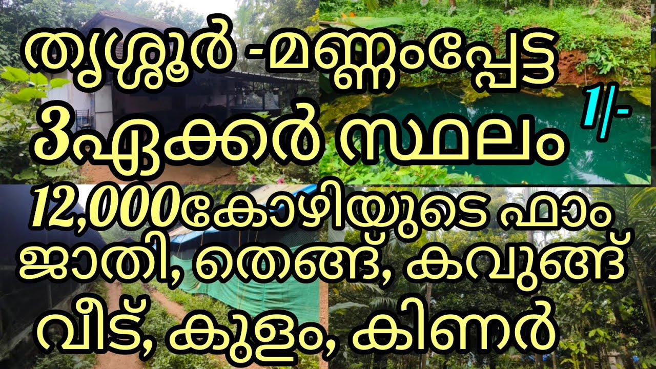 വില കുറഞ്ഞ ജാതി തോട്ടവും കോഴിഫാം +വീടും 3ഏക്കർ സ്ഥലവും |low budget land