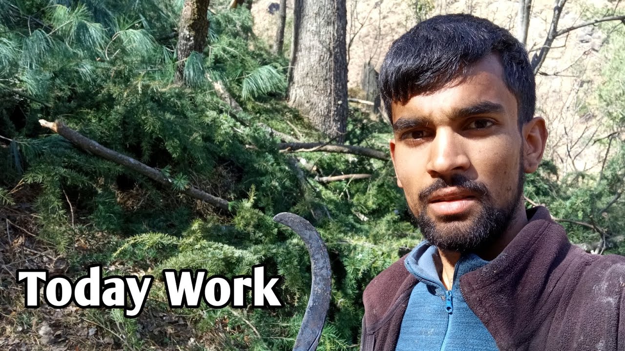 पूरे पेड़ की टहनी काटनी पड़ी आज | aaj to thaka diya katate katate 