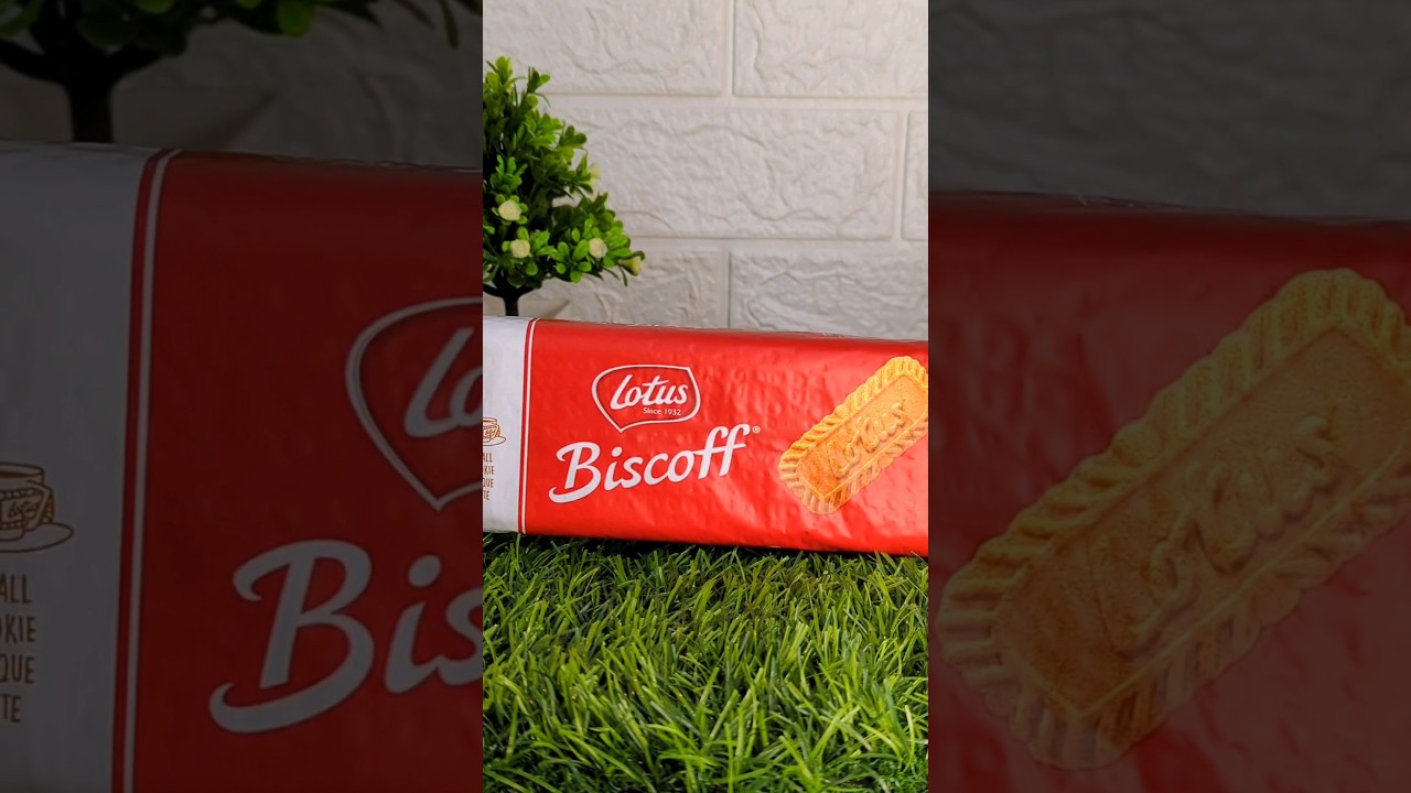 Lotus Biscoff Biscuit Review 🍪 #biscoff #review #youtubeshorts #aribaalam