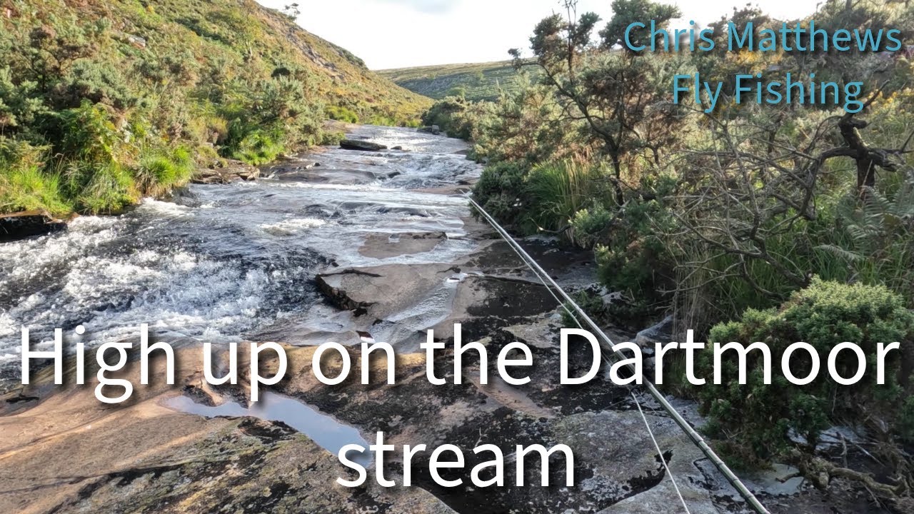 High up on the Dartmoor stream