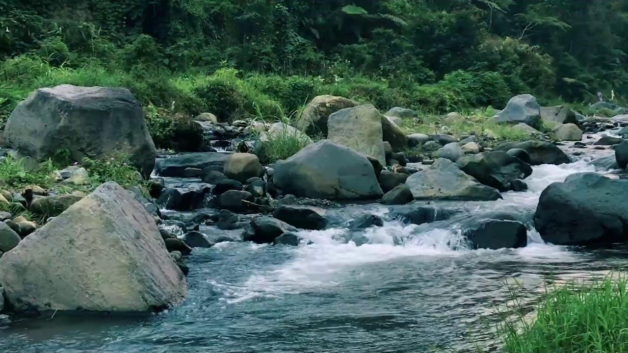Freshwater Stream for Emotional Balance, Calm Mind