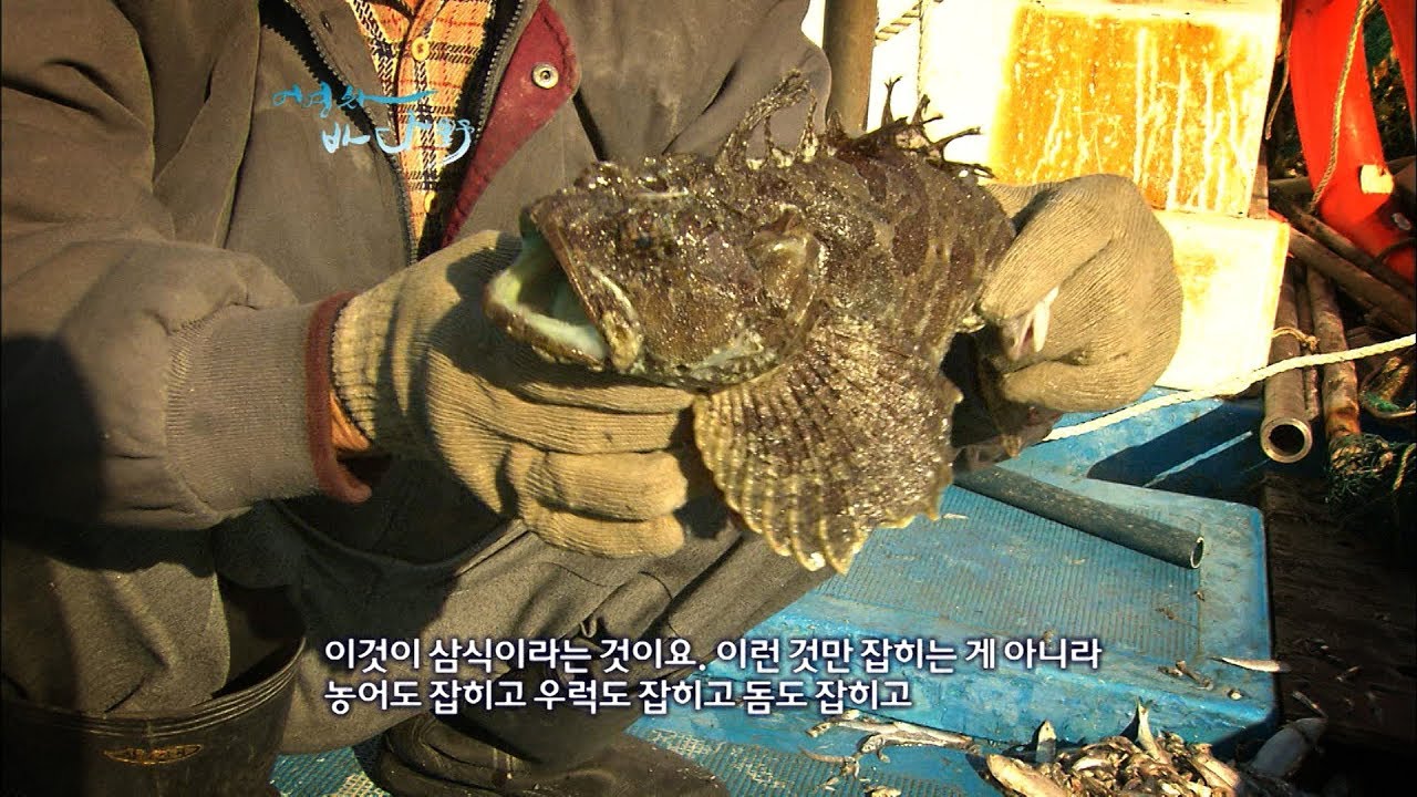 154개 섬들이 새 떼처럼 밀집해 있는 조도(鳥島)군도 #진도군 [Korea Island]
