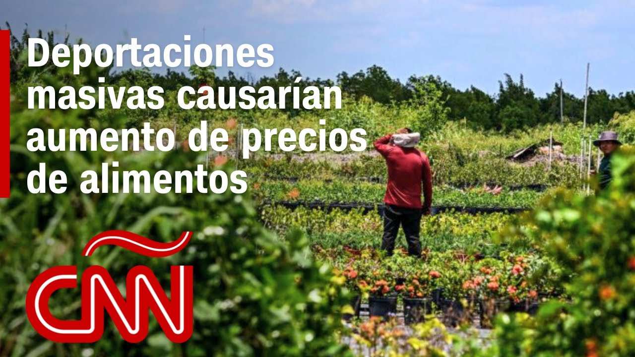 Deportaciones masivas de migrantes indocumentados causar&iacute;an aumento de precios de alimentos