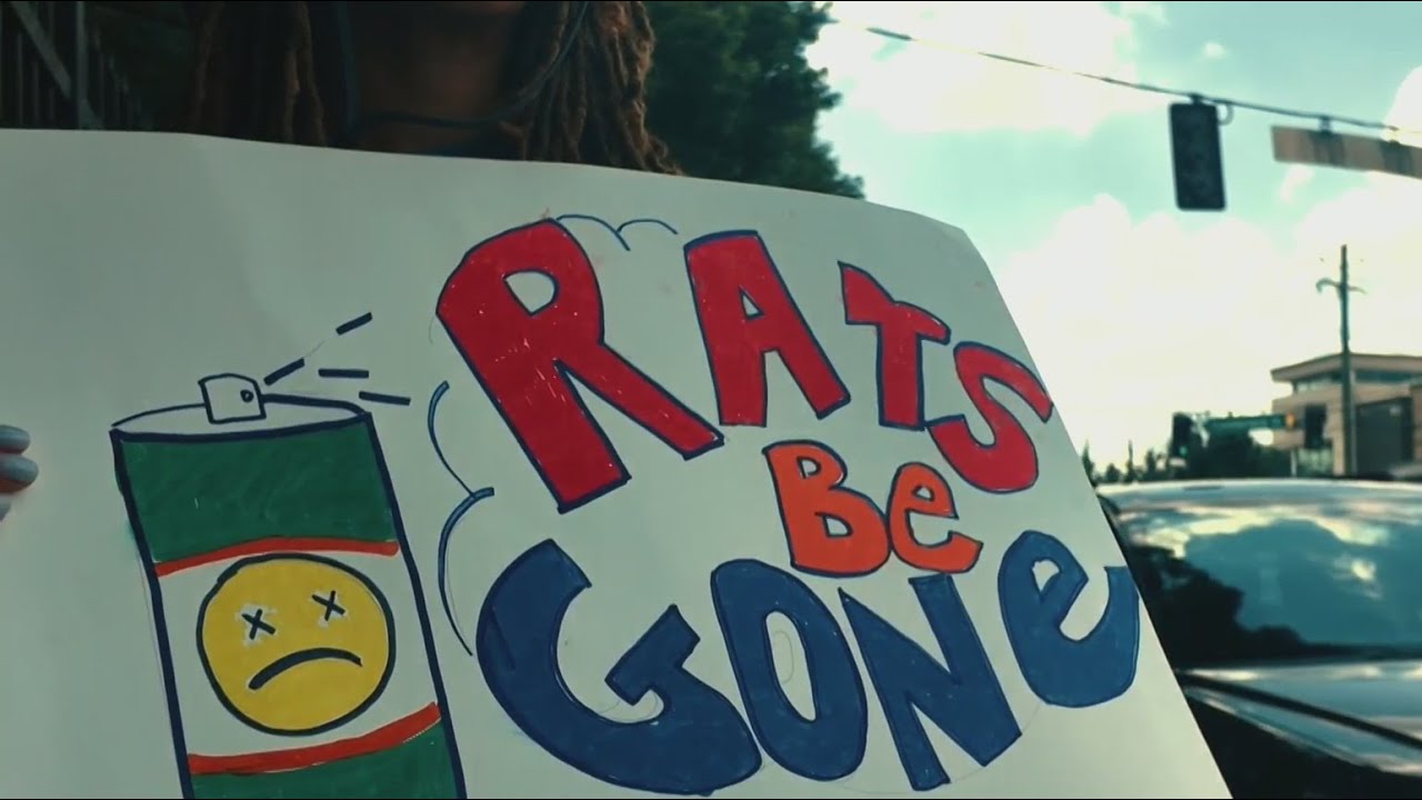 IRS workers protest rat-infested office: Employees demand safe conditions