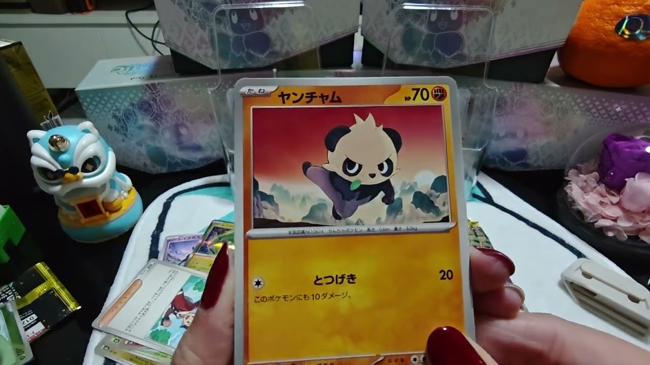 Our Journey into the Pokemon TCG Collection World (Happy Valentines Day!) - EP 12SINGLISH 