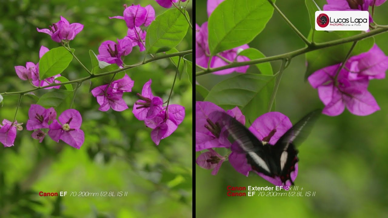 Revisão do Canon Extender EF 2x III