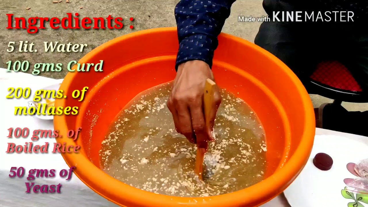 Gharme Miracle Solution Banaye Joko sari Plant Problem se Aapko chhutkara dega.
