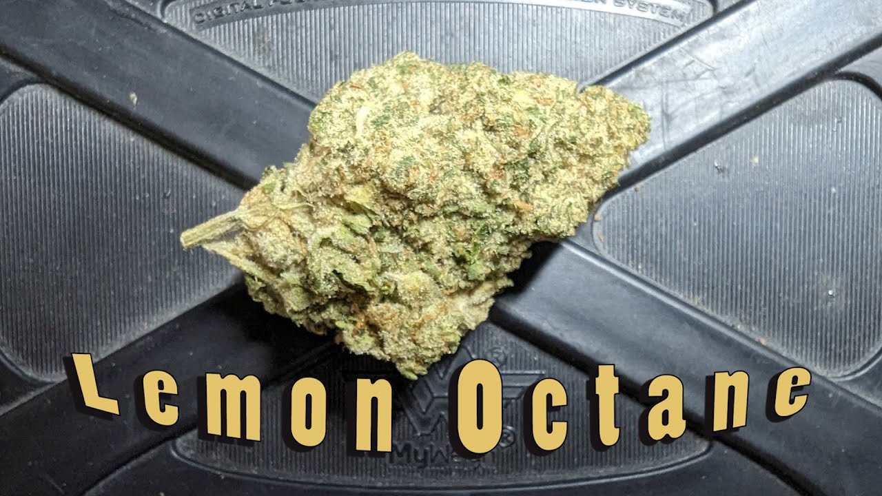 Strain Review - Lemon Octane from Pure Sunfarms