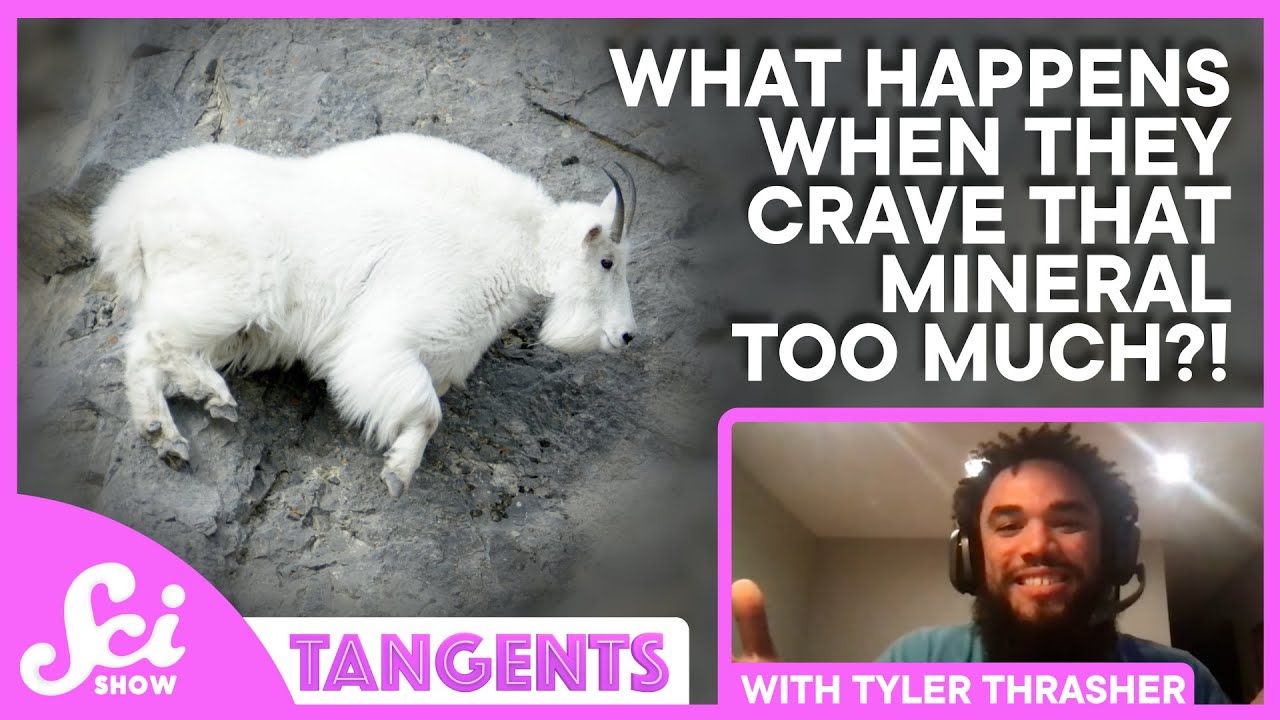 Crystals with Tyler Thrasher | SciShow Tangents Podcast