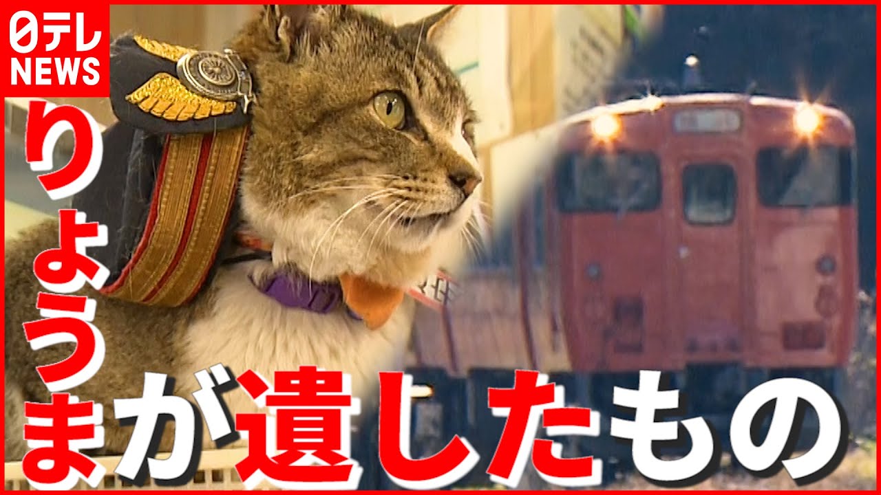 【猫駅長】死から3年…JR芸備線・志和口駅「りょうま」と地域住民との物語　広島　NNNセレクション