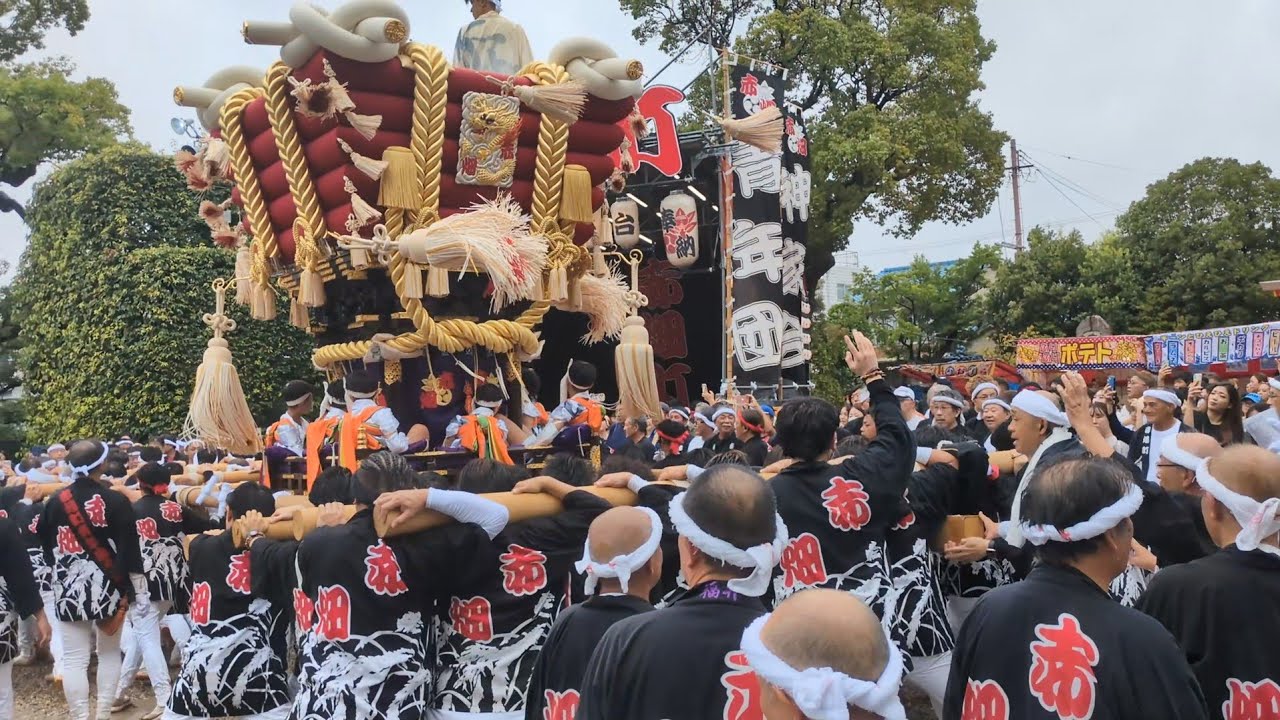 【百舌鳥八幡宮】令和7年　赤畑町ふとん太鼓　本宮　宮出