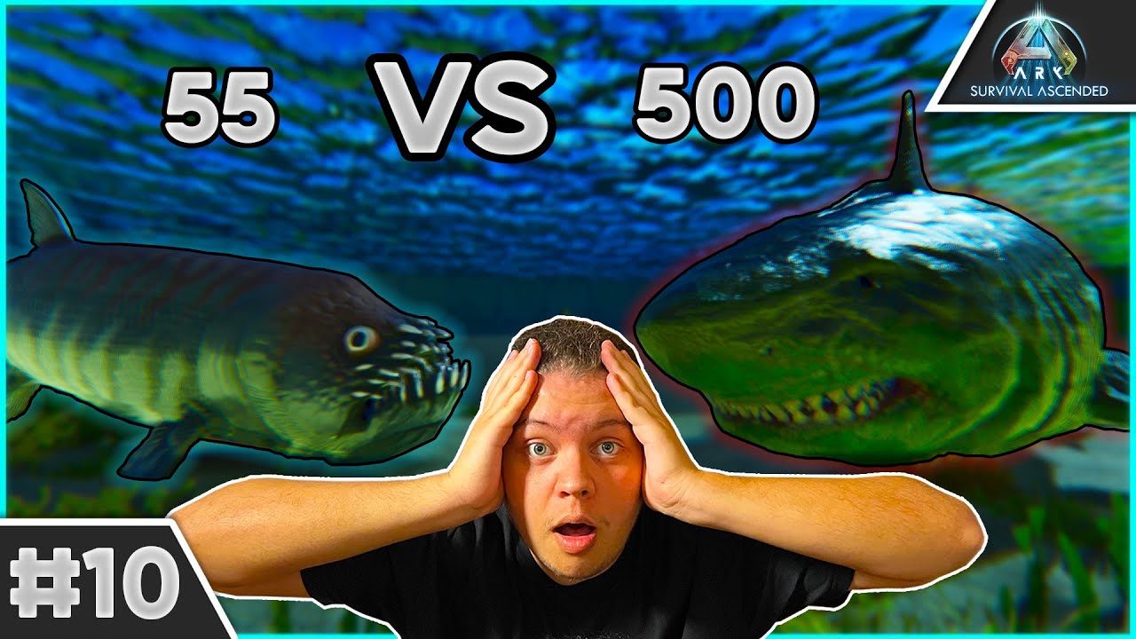 55 XIPHACTINUS VS 500 MEGALODONS SUR ARK SURVIVAL ASCENDED FR - EP10