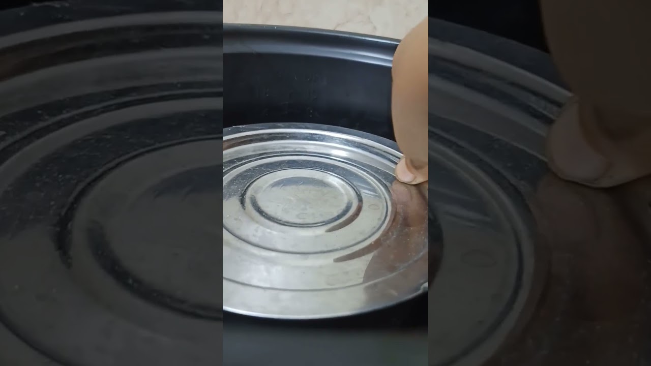 Rice Cooker e Egg caramelized Pudding