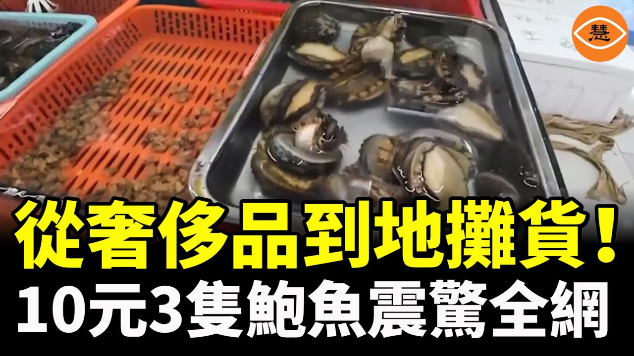 鮑魚為啥越來越便宜？中國人終於「鮑魚自由」，但背後全是血淚