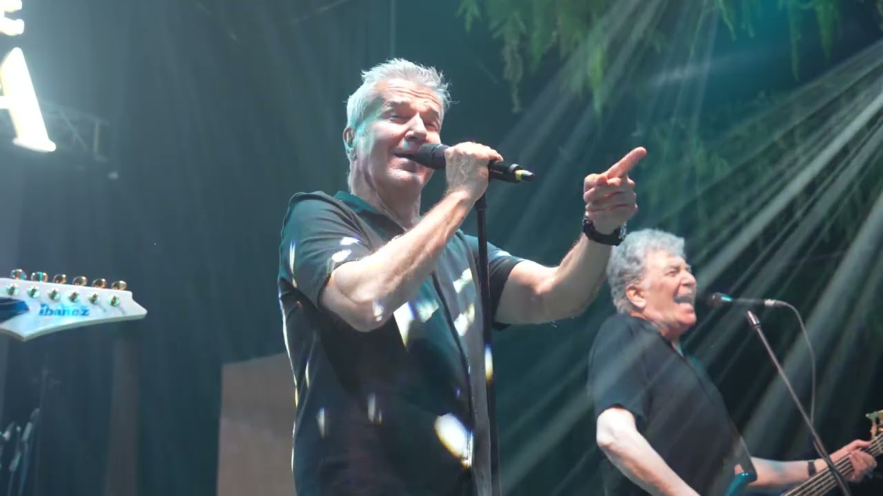 HOLOGRAF ✅ MARE CÂT INIMA MEA ✅ LIVE ✅ 2024 ✅ MUZICĂ DE NUNTĂ