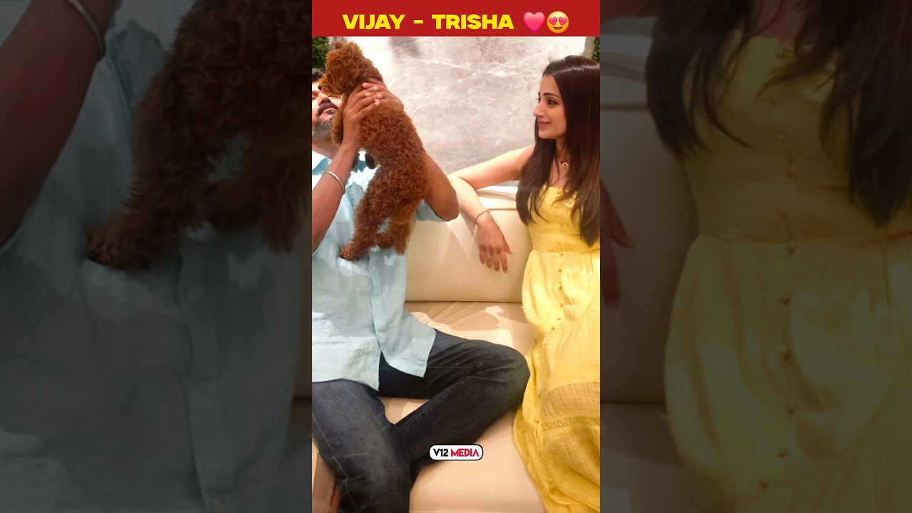 Thalapathy Vijay - Trisha 😍 #birthdayparty #cutemoment #tamil #actors #trending #shorts #viralvideo