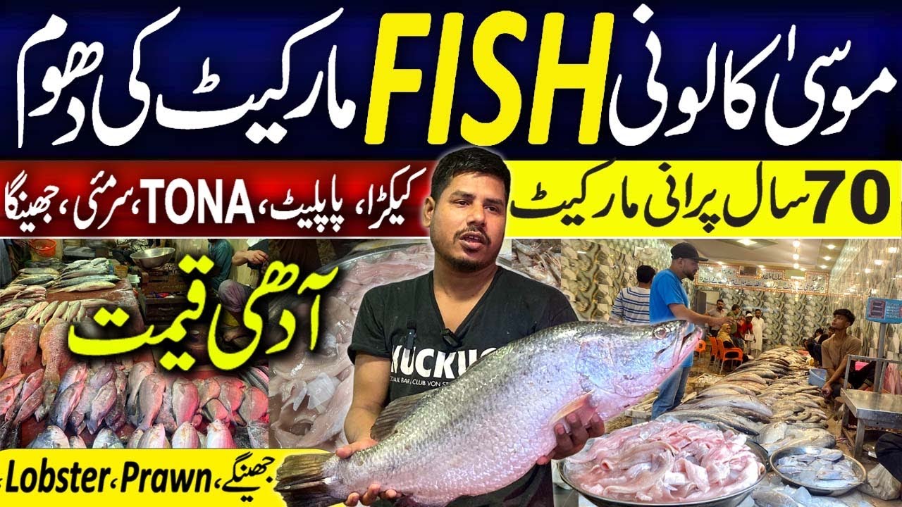 Fish Market in Karachi | Musa Colony Fish Rates | Cheapest rates of Fish Prawns lobste@RabiyaKhan98