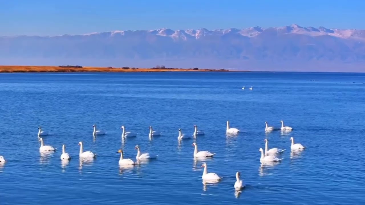 Кыргызстан. Подписывайся и ставь ❤️. Поддержи в комментариях... #кыргызстан #музыка #Kyrgyzstan #мой